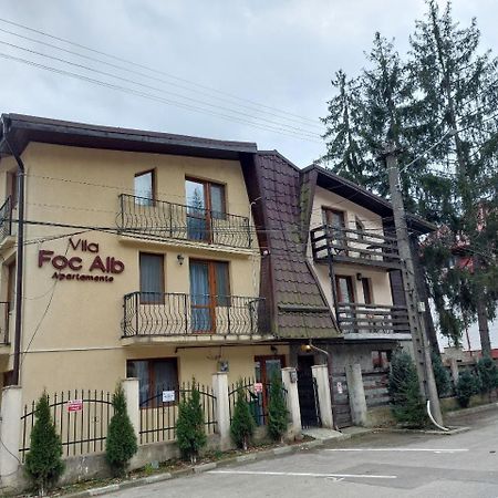 Vila Foc Alb Apartamente-Buşteni 外观 照片