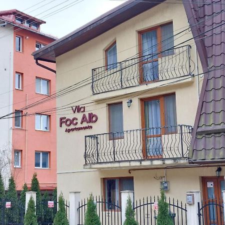 Vila Foc Alb Apartamente-Buşteni 外观 照片