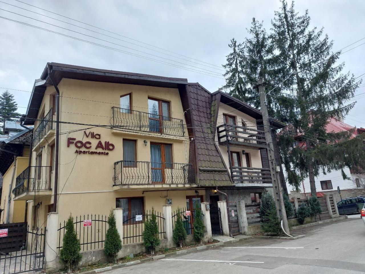 Vila Foc Alb Apartamente-Buşteni 外观 照片