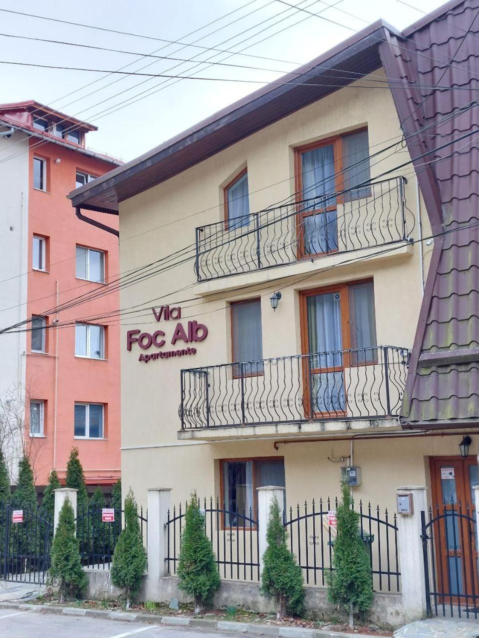 Vila Foc Alb Apartamente-Buşteni 外观 照片